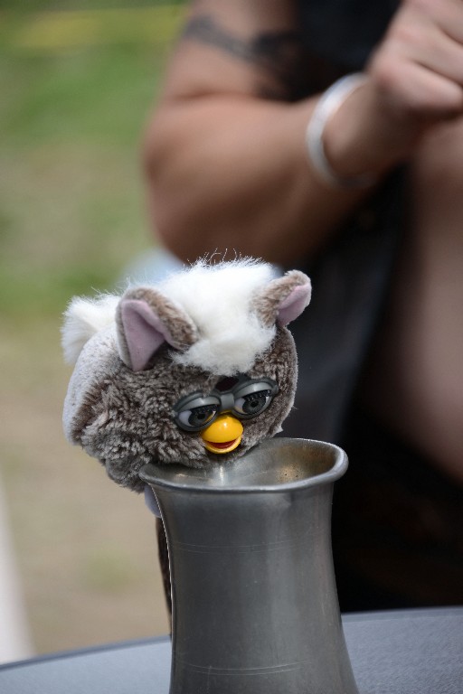 ../Images/Vrijdag Castlefest 2015 097.jpg